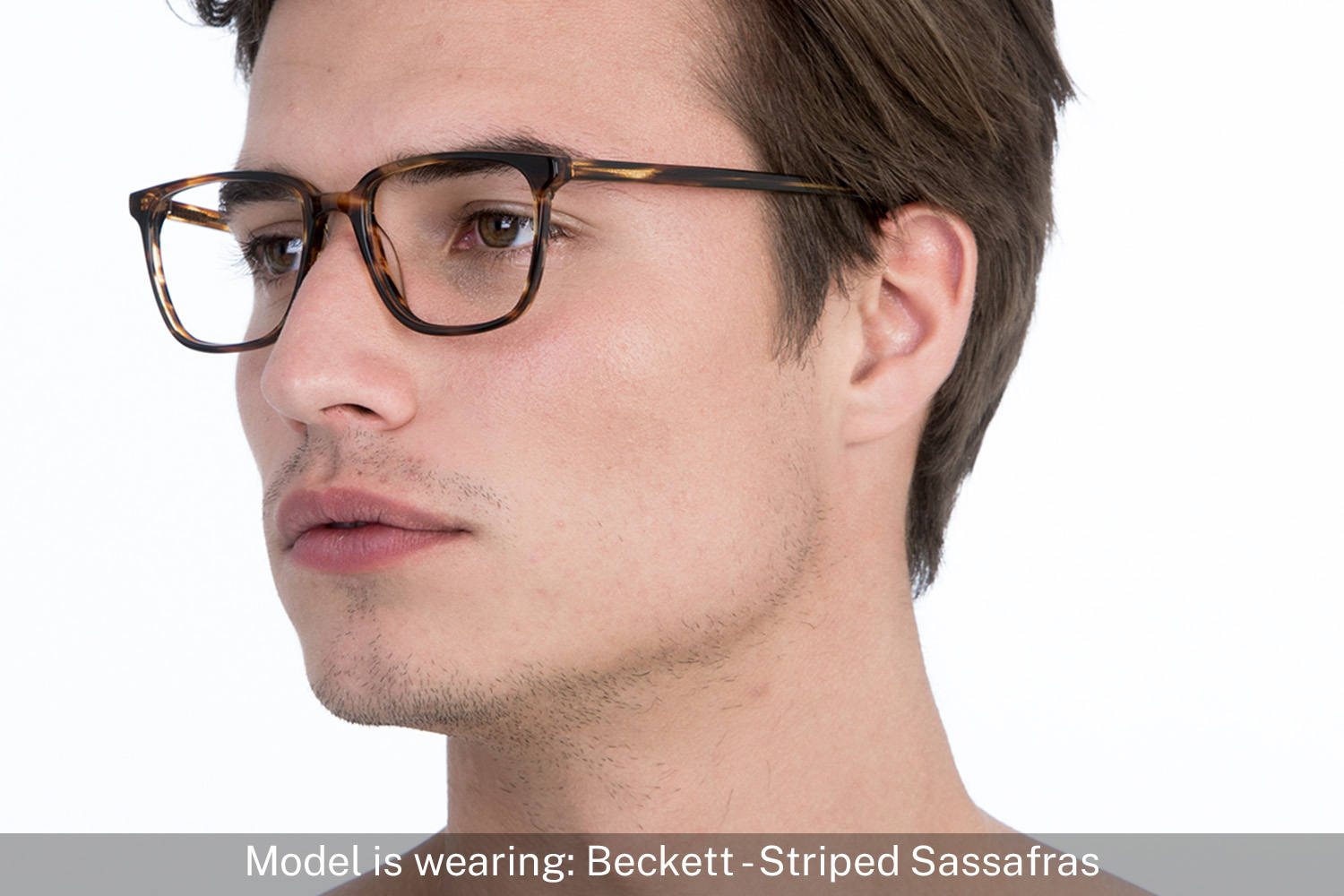 Beckett | Striped Sassafras - 4