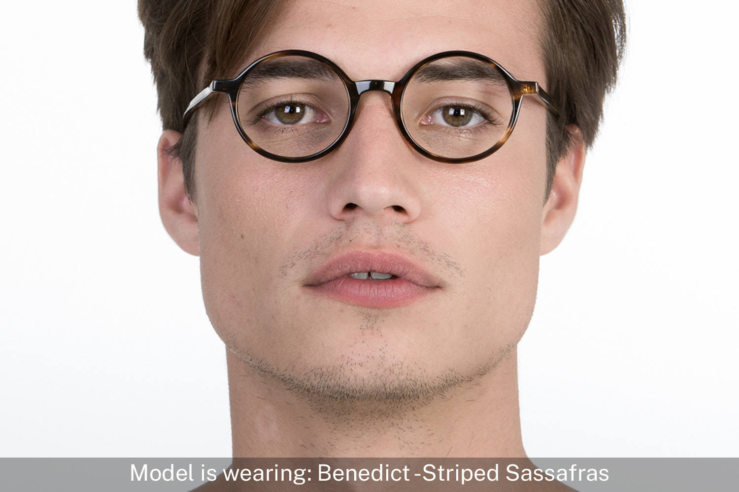 Benedict | Striped Sassafras - 3
