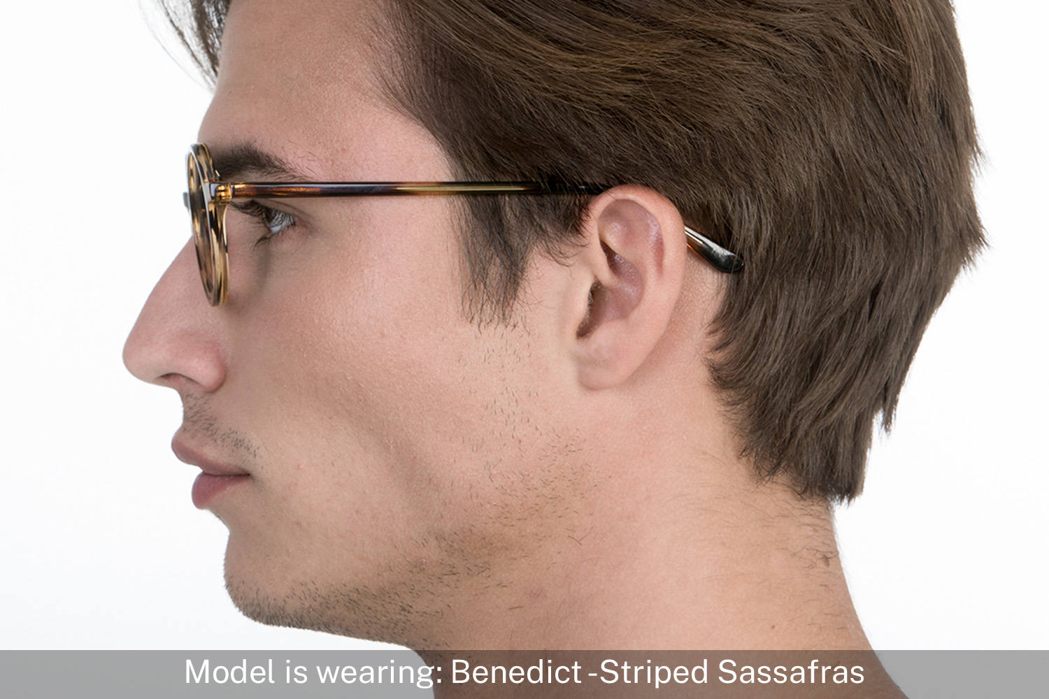 Benedict | Striped Sassafras - 5
