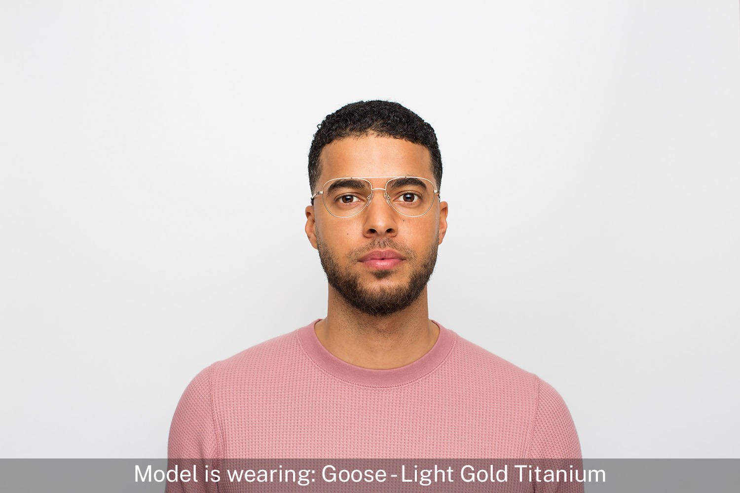 Goose | Platinum Silver Titanium - 3