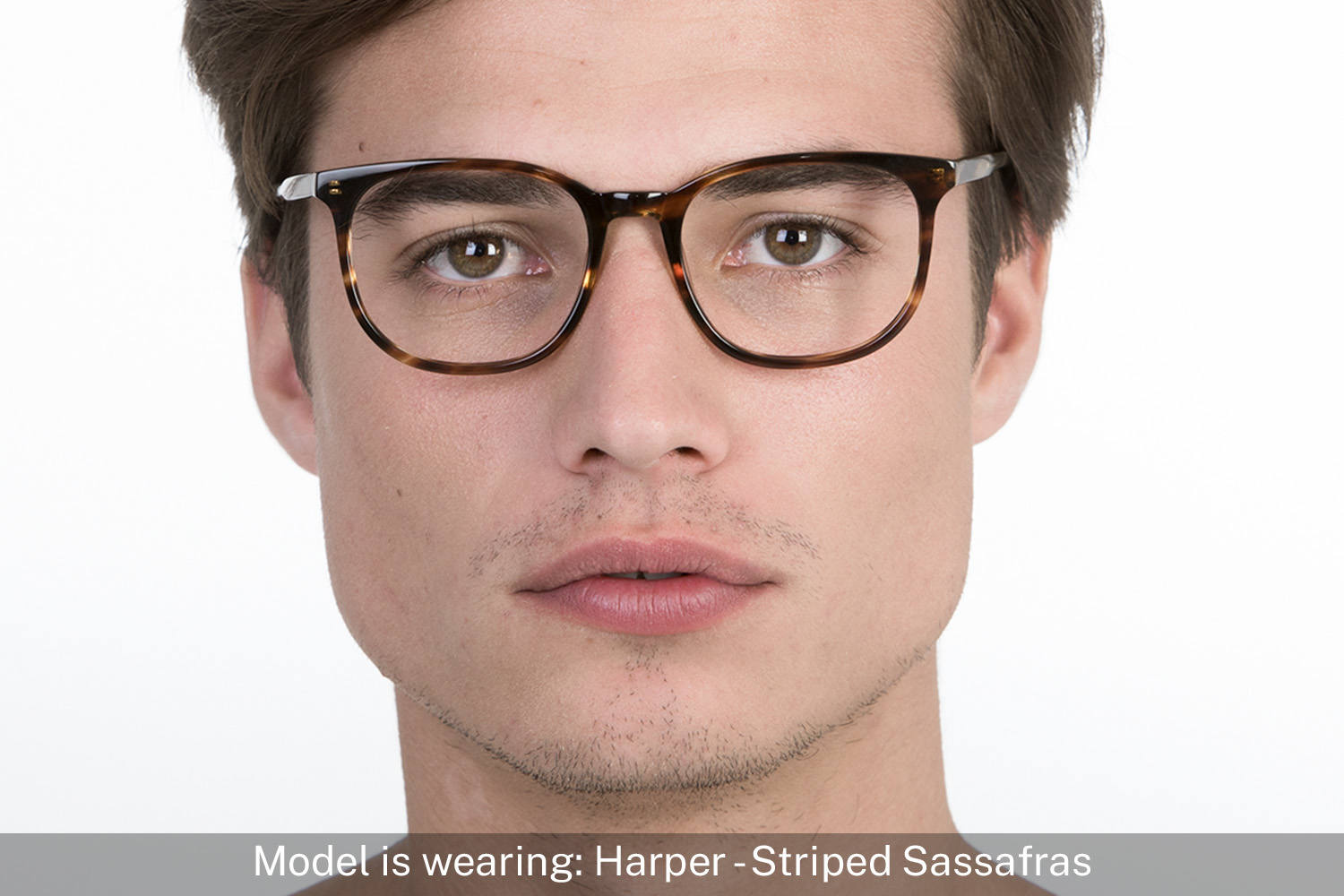Harper | Striped Sassafras - 3