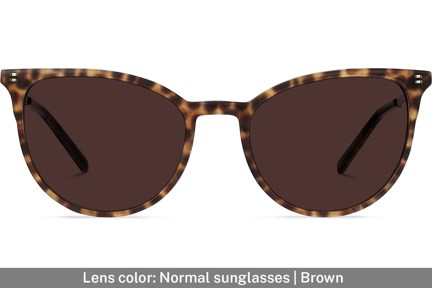 Elise | Leopard Brown with Copper Metal - 4