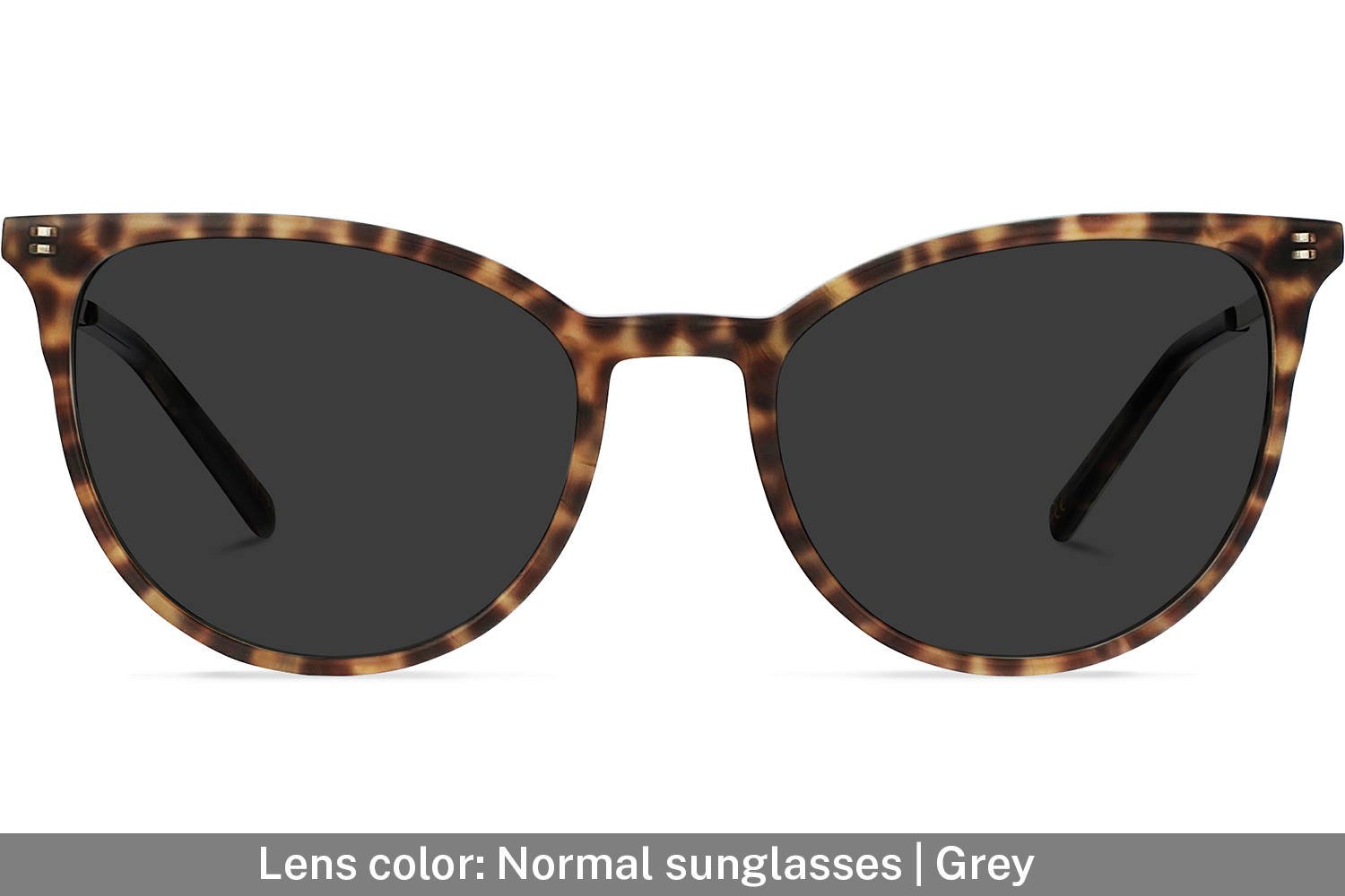 Elise | Leopard Brown with Copper Metal - 3