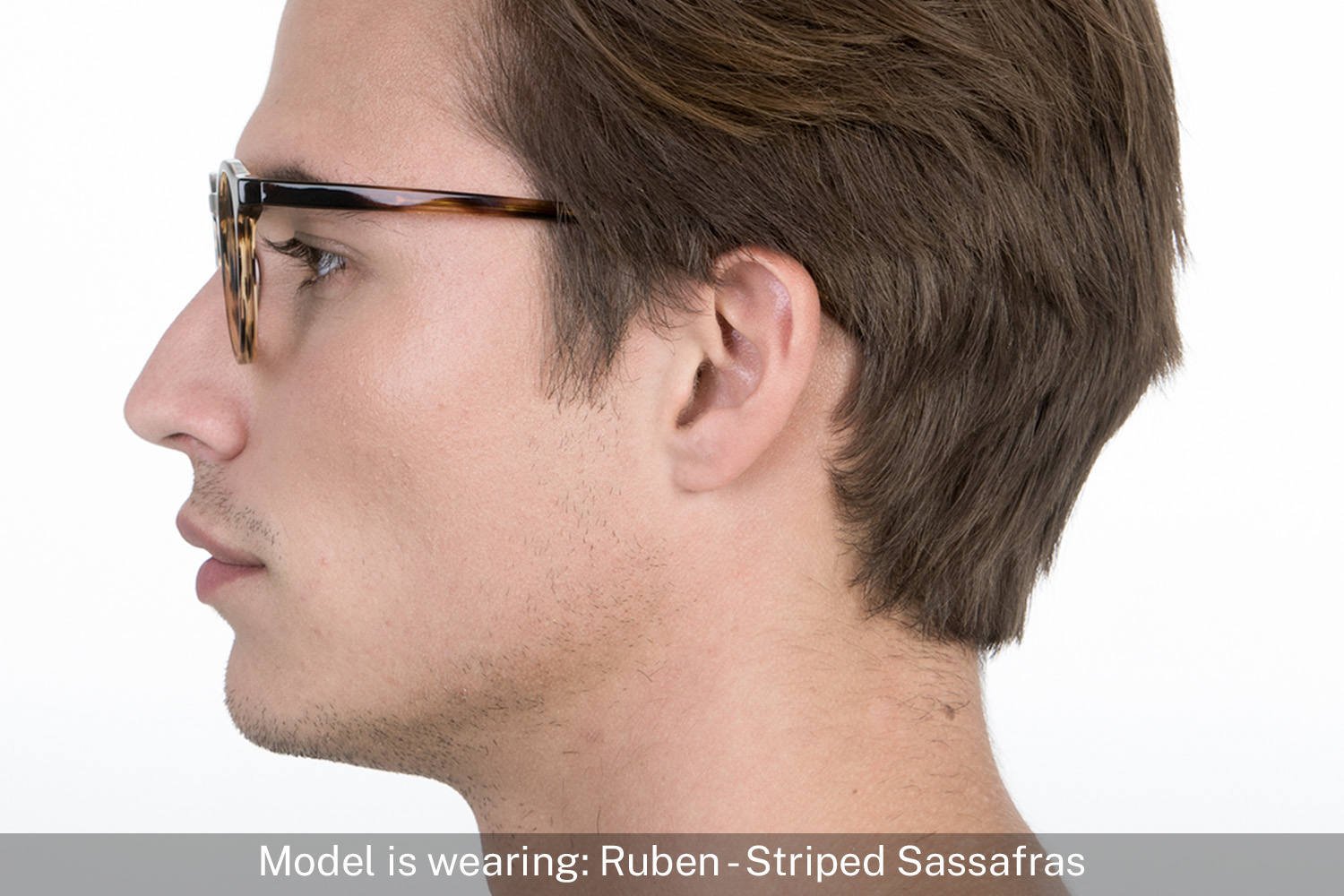 Ruben | Striped Sassafras - 5