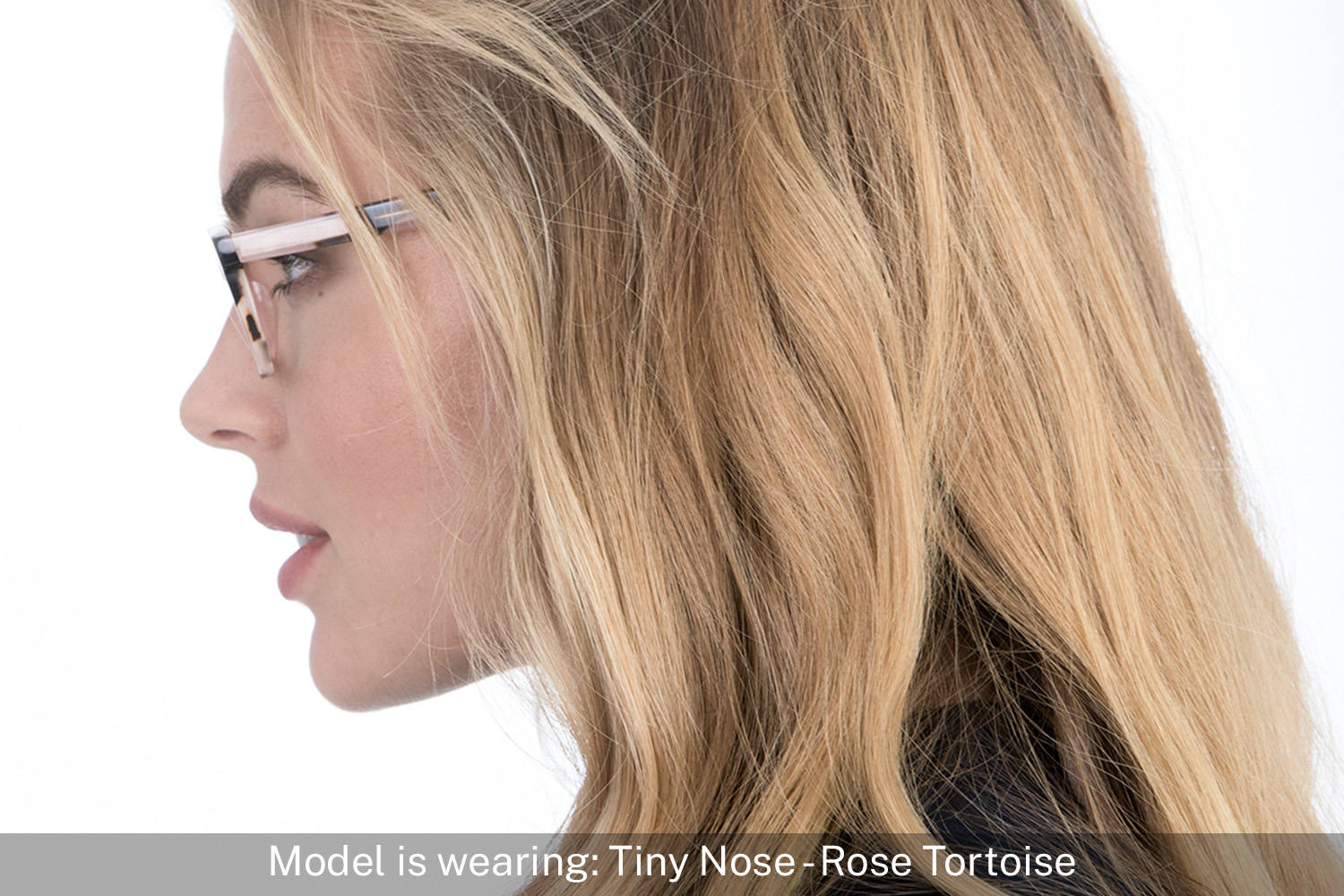 Tiny Nose | Rose Tortoise - 5