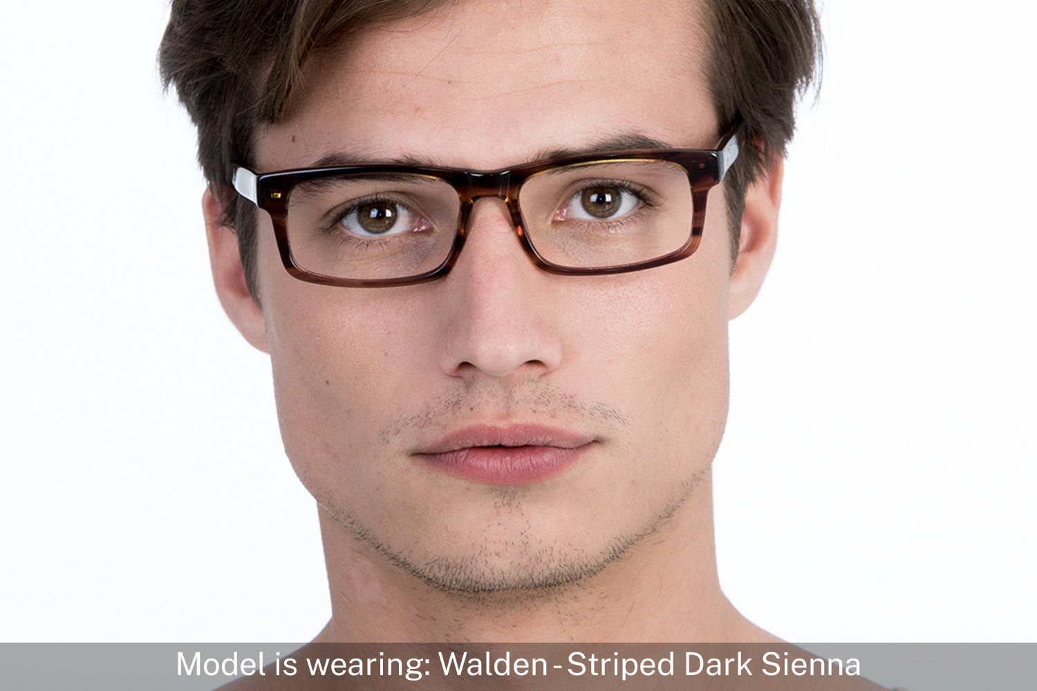 Walden | Striped Dark Sienna - 3