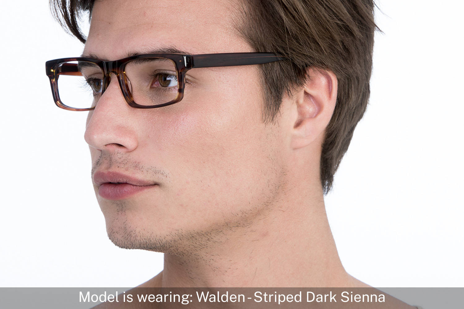 Walden | Striped Dark Sienna - 4