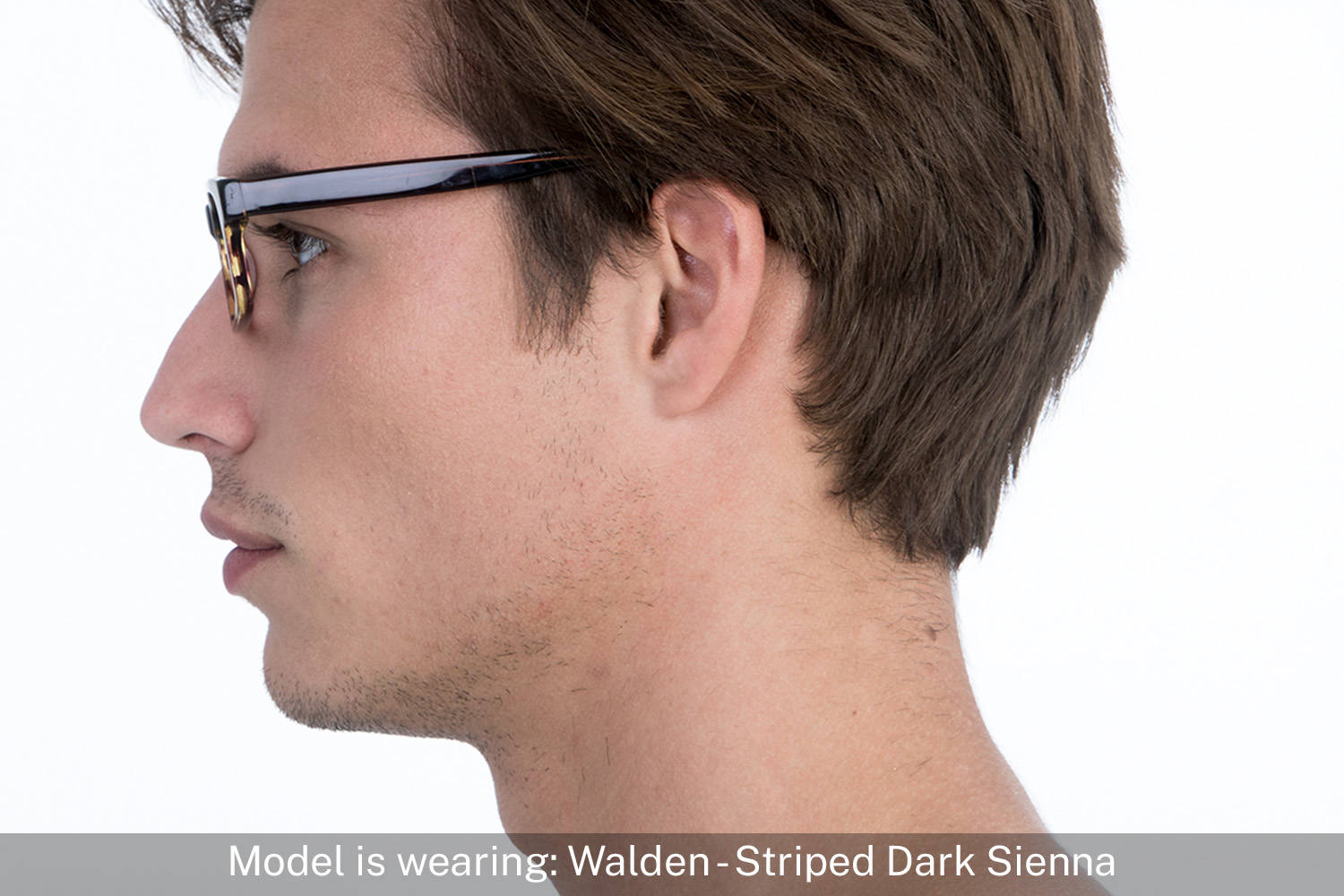Walden | Striped Dark Sienna - 5