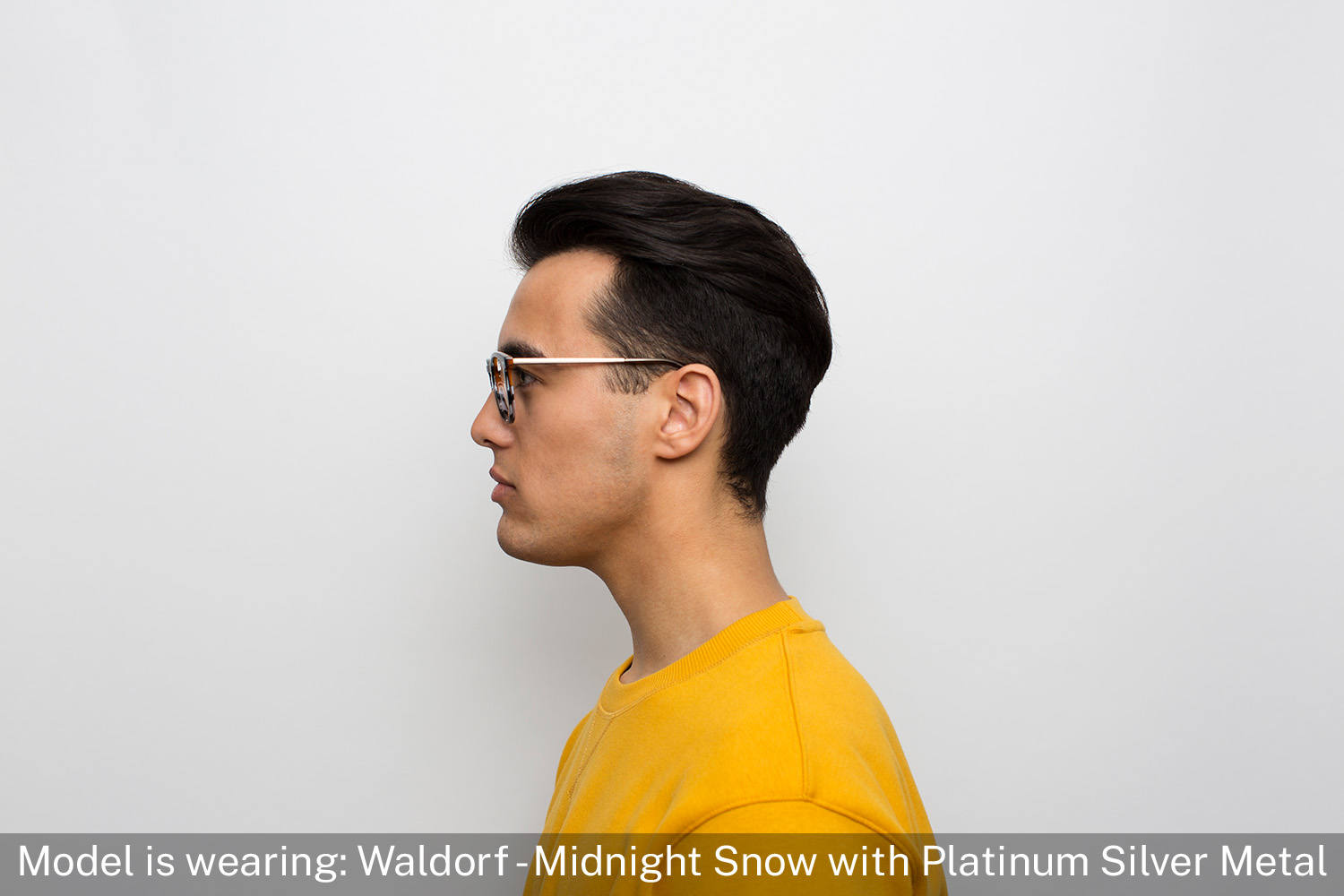 Waldorf | Midnight Snow with Platinum Silver Metal - 4