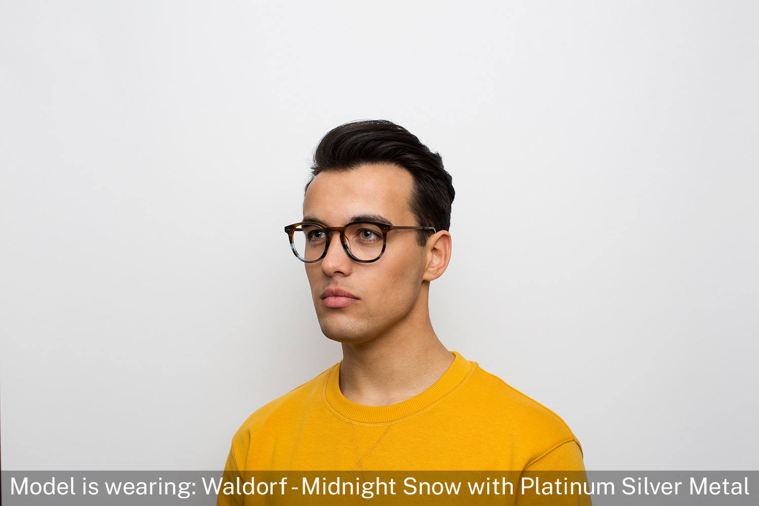 Waldorf | Midnight Snow with Platinum Silver Metal - 5